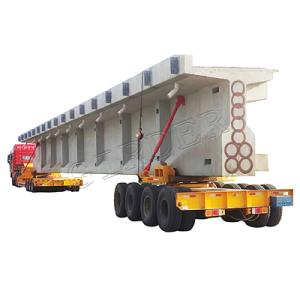 160T girder transport project